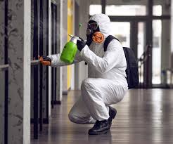 Mold Remediation for Vacation Homes in Buda, TX